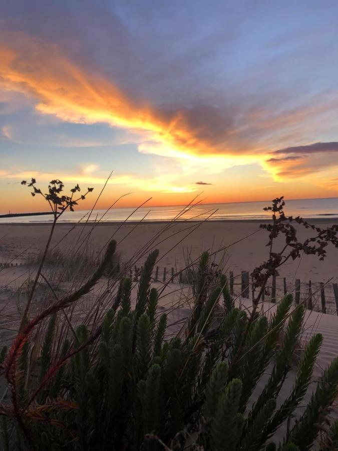 Residence Le Sunset Marseillan-Plage, Entre Mer Et Lagune De Thau, Etape Velo, Famille, Couple, Vrp, Toutou Admis, Jardin, Parking Prive Gratuit, Velos, Clim, Wifi Fibre Gratuite, Commodites, Plage Et Piste Cyclable A Proximite, 6 Couchages Nous Cont Marseillan (Herault) Exterior foto